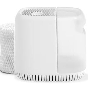 Canopy Classic Dishwasher Safe Bedside Humidifier with Mold-Inhibiting Parts